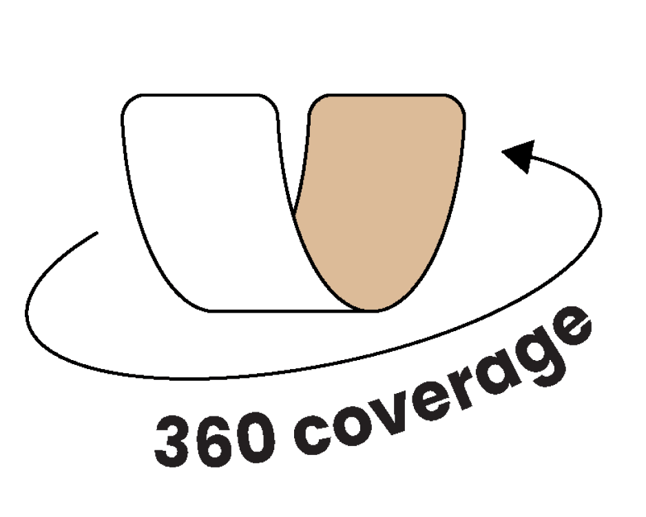 section image