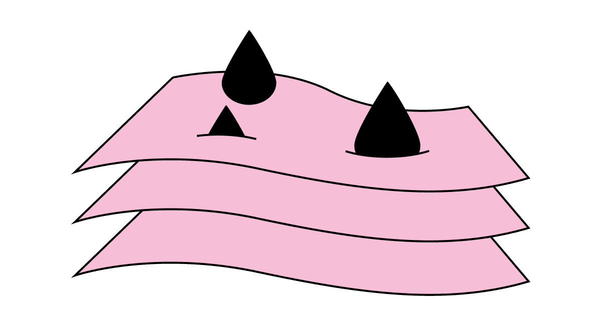 section image